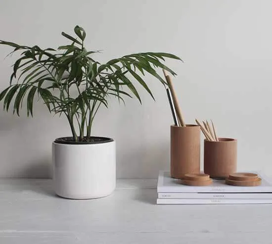 Table Decoration - MK体育
